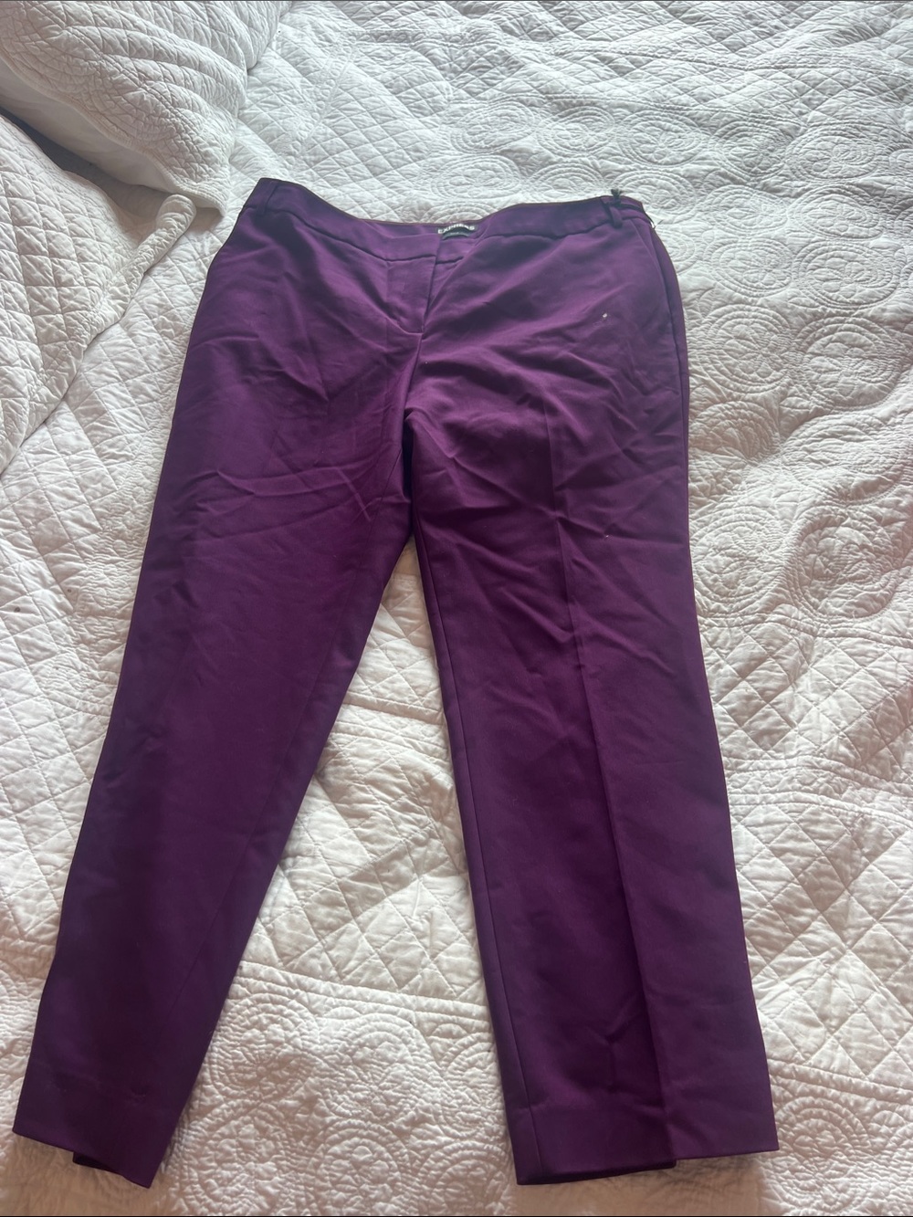 Women's Plum Dress Pants